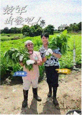 荒野合伙人 户外真人秀海报